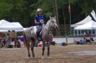 Compiegne 2011